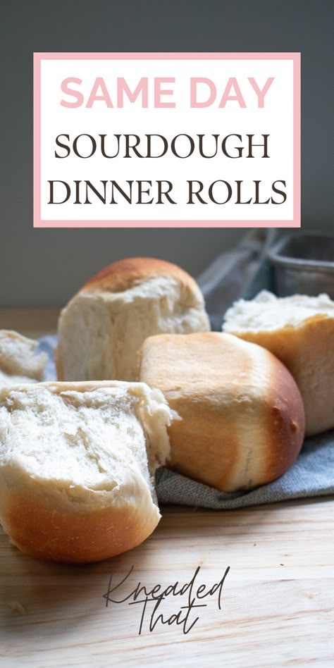 Sub Roll Recipe, Quick Rolls Recipe, Rolls Sourdough, Sourdough Dinner, Sourdough Dinner Rolls, Sourdough Rolls, Sourdough Starter Discard Recipe, Easy Sourdough, Gluten Free Sourdough