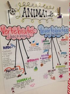 Vertebrates and Invertebrates Classification Of Animals Project, Animal Classification Chart, Ckla Grade 3, Animal Anchor Chart, Ckla Third Grade, Animal Adaptations Anchor Chart, Animal Classification For Kids, 4th Grade Science Lessons, 4th Grade Science Experiments