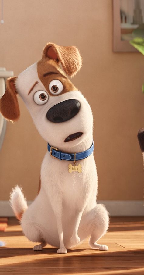 The Secret Life of Pets (2016) photos, including production stills, premiere photos and other event photos, publicity photos, behind-the-scenes, and more. Secret Life Of Pets Wallpaper Iphone, Chloe Secret Life Of Pets Wallpaper, Secret Life Of Pets Wallpaper, The Secret Of Pets, Dog From Secret Life Of Pets, The Secret Life Of Pets Poster, Pets Movie, Karakter Disney, Secret Life Of Pets