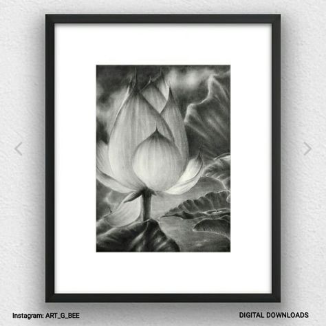 A3 lotus charcoal drawing- pencil wall art digital downloads at affordable prices - black and white, A3, lotus, flower, floral, charcoal art, handmade, beginner, home decor, decorative, indian, frame, idea Lotus Charcoal Drawing, Lotus Pencil Drawing, Indian Frame, Pencil Wall Art, Charcoal Wall, Charcoal Walls, Drawing Frames, Charcoal Drawings, Charcoal Art