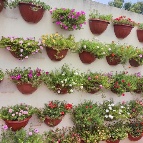 Wall Garden Ideas Outdoor, Wall Planters Outdoor, Garden Planning Layout, Vertical Garden Design, Plant Pot Diy, Boquette Flowers, Diy Plant Hanger, Patio Garden Design, Home Garden Design