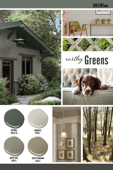 Paint colors like Pastoral PPU10-20, Muted Sage N350-5, Sawgrass N350-2, and Grassy Savannah N340-5 can all be found in nature. These earthy greens are great color choices for the interior or exterior of your home. Colorfully yours, Larayne More Articles You Might LikeSoothing GreensColor of the Month: Lucky CloverSimply Beige Olive Green Painted Brick House, Behr Sawgrass Paint, Sawgrass Behr Paint, Forest Green Exterior House Colors, Green Craftsman Exterior, Earth Tone Exterior House Colors, Mobile Home Exterior Paint, Olive Green Exterior House Colors, Adobe Sand