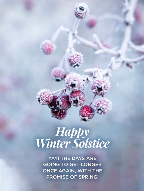 Happy Winter Solstice YAY! The days are going to get longer once again, with the promise of spring! Happy Solstice, Quotes To Brighten Your Day, Happy Winter Solstice, Food Gardening, Pagan Art, Happy Winter, Garden Quotes, The Promise, Winter Solstice