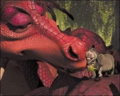 Donkey And Dragon, Shrek Dragon, Me And Who, Pretty Meme, Ark Survival Evolved, True Memes, Beautiful Dragon, Me Too Meme, Life Memes