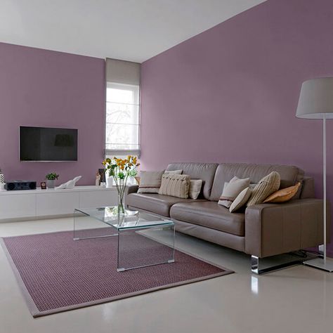 Wall Colour Ideas For Hall, Best Colour For Hall, Hall Colour Paint Living Rooms, Room Color Ideas Bedroom, Hall Partition, Paint 2024, Room Paint Designs, Colorful Bedroom Design, Building Color