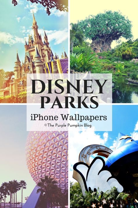 Disney World Iphone Wallpaper, Disney World Wallpaper Iphone, Disney Iphone Wallpapers, World Iphone Wallpaper, Hipster Pictures, Net Wallpaper, Purple Pumpkin, Disney Iphone, Disney Vacation Club