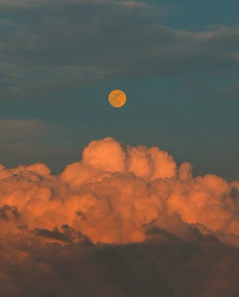 Cloud Photography Aesthetic, Cloud Reference Photo, Orange Scenery, Clouds From Above, Desert Clouds, Cool Clouds, Dream Clouds, Sky Scapes, Orange Clouds