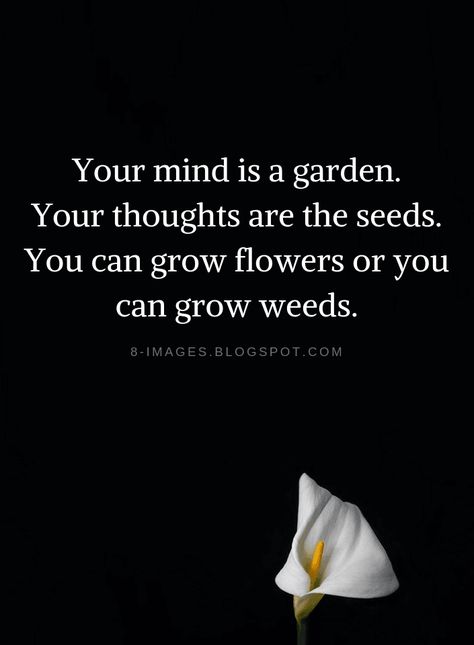 Quotes Your mind is a garden. Your thoughts are the seeds. You can grow flowers or you can grow weeds. Growing Spiritually Quotes, Planting Seeds Quotes, Your Mind Is A Garden, Seed Quotes, Mind Is A Garden, Growing Quotes, Grow Flowers, Flowers Quotes, Plants Quotes