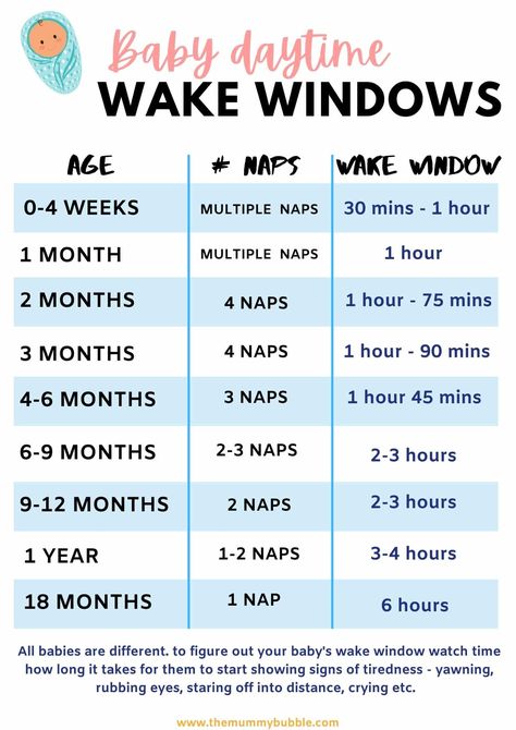 Baby's wake window by age chart guide Baby Wake Windows, Wake Windows, Baby Chart, Baby Guide, Newborn Schedule, Baby Routine, Baby Information, Baby Schedule, Newborn Baby Tips