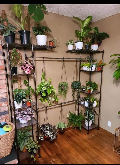 Plant Display Ideas, Clothes Racks, Inside Plants, Growing Plants Indoors, Plant Decor Indoor, Creative Gardening, House Plants Decor, Plant Stands, Room With Plants