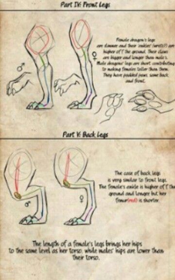 Dragon Talons Drawing, Dragon Paws Reference, How To Draw Dragon Claws, Dragon Snout Reference, Dragon Claws Drawing Reference, Chinese Dragon Reference, Dragon Claws Drawing, Dragon Tail Drawing, Dragon Paws