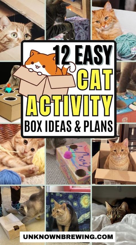 Keep your cat entertained and active with these creative enrichment ideas. Cat Cage Decoration Ideas, Easy Cat Enrichment, Diy Cat Activities, Enrichment Activities For Cats, Cardboard Crafts For Cats, Cat Enrichment Indoor, Cat Entertainment Ideas, Diy Cat House Indoor Cardboard, Diy Cat Puzzles