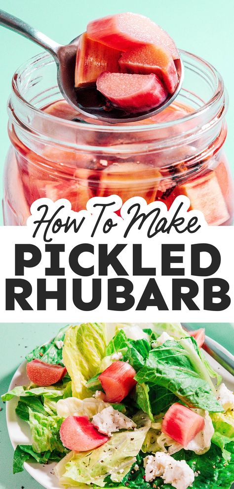 Rhubarb Pickle Recipes, Pickled Rhubarb Recipes, Rhubarb Pickles, Rhubarb Salad, Healthy Rhubarb Recipes, Pickled Rhubarb, Rhubarb Jelly, Pickled Fruit, Vegetarian Sandwich Recipes