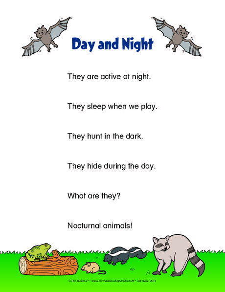 Nocturnal Animals Activities, Science Poems, Night Animals, Pre-k Science, Fall Animals, Storytime Ideas, Fall Lesson Plans, Animal Lessons, Preschool Fall