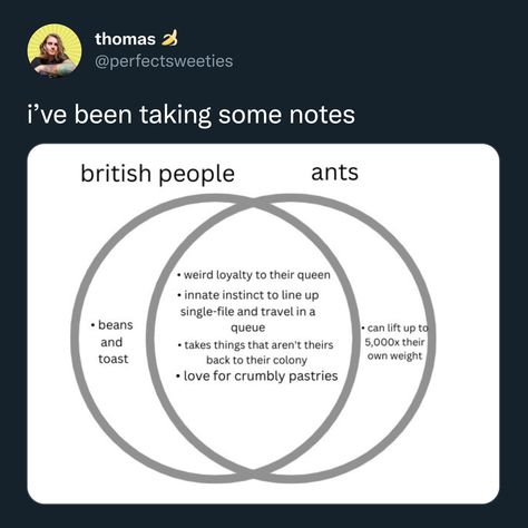 British People, What’s Going On, Really Funny Memes, Tumblr Funny, Funny Posts, Ants, Funny Cute, In The Middle, Funny Texts