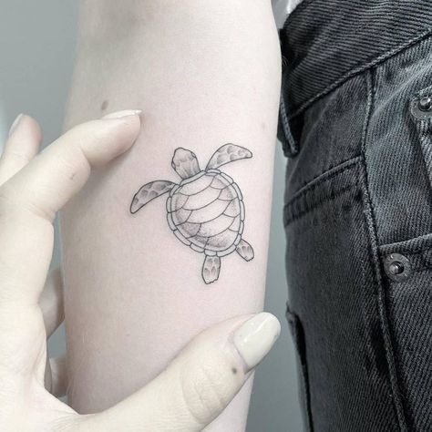 Fine line turtle tattoo on the inner forearm. Simple Sea Turtle Tattoo, Fine Line Turtle, Fine Line Turtle Tattoo, Sea Turtle Tattoos, Fine Line Tattoo Designs, Line Tattoo Designs, Turtle Tattoos, Mom Daughter Tattoos, Sea Turtle Tattoo