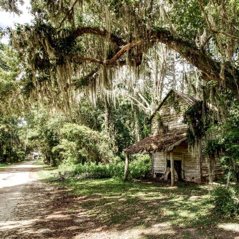 Southern Georgia, Deep South, Black Southern Gothic, Georgia Usa Aesthetic, Rural Georgia Aesthetic, Rural America Photography, Rural Midwest Aesthetic, Rural Georgia, Georgia Gothic