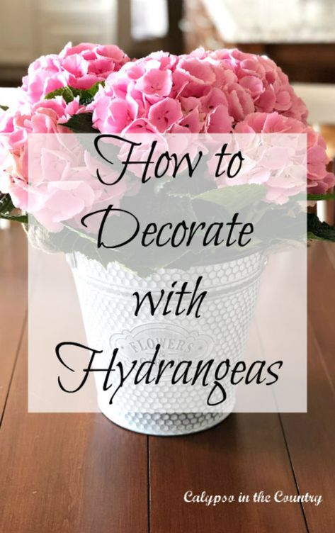 How to decorate with hydrangeas - Simple farmhouse style inspiration using a rustic galvanized bucket and a pink hydrangea plant.  Visit the blog to see the foyer table decorated for spring.  #decorating #decoratingwithhydrangeas #pinkhydrangeas #decoratingwithhydrangeasrustic #farmhousestyle Silk Hydrangea Arrangements, Decorating With Hydrangeas, How To Arrange Hydrangeas In A Vase, Hydrangea Care In Vase, Hydrangea Decor Home, Hydrangea Arrangements For Home Vase, Hydrangea Table Arrangements, Hydrangea In Basket, Hydrangea Stems In Vase