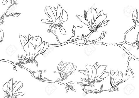 Branch With Flowers, Branch Drawing, Magnolia Tattoo, Magnolia Branch, Design Pattern Art, Magnolia Tree, Tree Stencil, Tree Images, Magnolia Trees