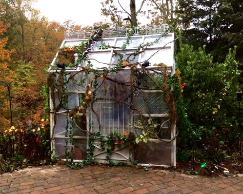 The greenhouse at The Phantom Manor by The Halloween Lady. Enchanted Forest Prom, Miniature Greenhouse, Phantom Manor, Poison Garden, Yard Haunt, Haunted Forest, Forest Decor, The Greenhouse, The Phantom