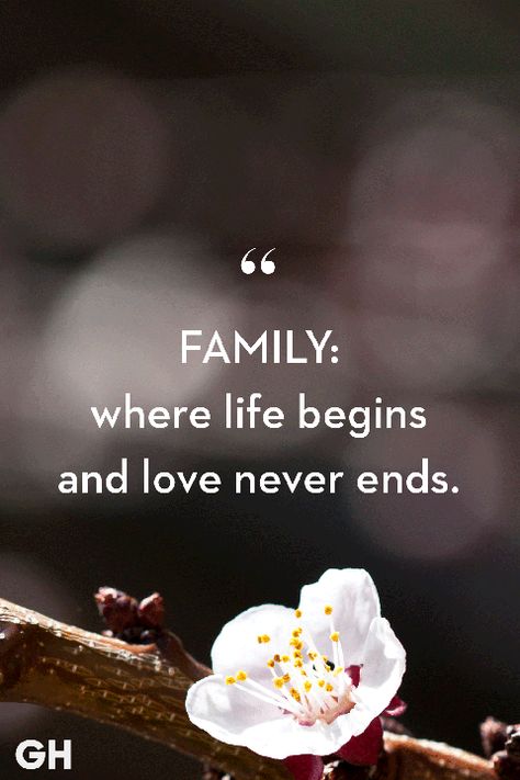 Family Fun Quotes, Family First Quotes, Family Quotes Images, My Family Quotes, Quote About Family, Love My Family Quotes, Family Bonding Quotes, Unity Quotes, Fake Family Quotes