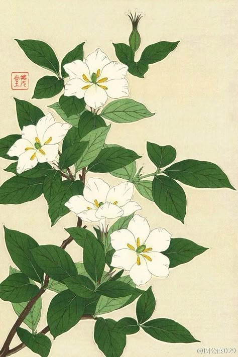 Japanese Art Prints, Picture Collage Wall, Tableau Art, Japanese Flowers, Arte Sketchbook, Japanese Woodblock Printing, Japanese Painting, Botanical Drawings, Japanese Prints