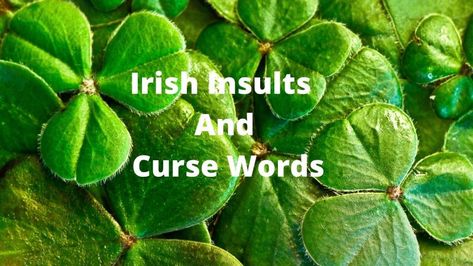 Scottish Swear Words, Irish Facts, Irish Curse, Word Replacement, Learning Irish, Seasonal Quotes, Irish Phrases, Irish Slang, Irish Things