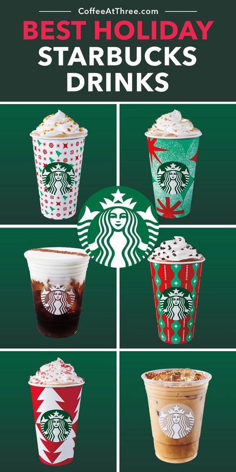 Not sure which of the holiday drinks to get at Starbucks? Try one from this list of the best drinks on the holiday menu, ranked. #starbucksholidaydrinks #starbucksholiday #peppermintmocha #peppermintwhitechocolatemocha #caramelbruleelatte #chestnutpralinelatte #irishcreamcoldbrew Different Starbucks Drinks, Starbucks Christmas Menu, Starbucks Menu Drinks, Winter Starbucks, Peppermint Hot Chocolate Recipe, Menu Starbucks, Caffeinated Drinks, Caramel Drinks, How To Brew Coffee