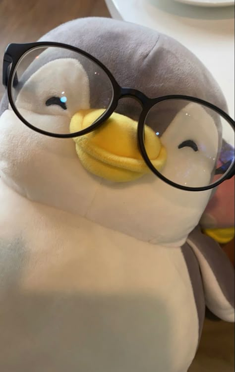 Penguin Plushie Aesthetic, Penguin Wallpaper Aesthetic, Cute Penguin Wallpaper, Aesthetic Penguin, Little Blue Penguin, Penguin Wallpaper, Penguin Pictures, Blue Penguin, Cute Minions