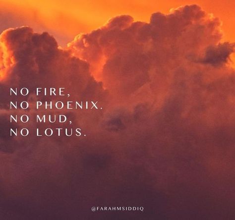 No Mud No Lotus, Phoenix, Lotus, Quotes