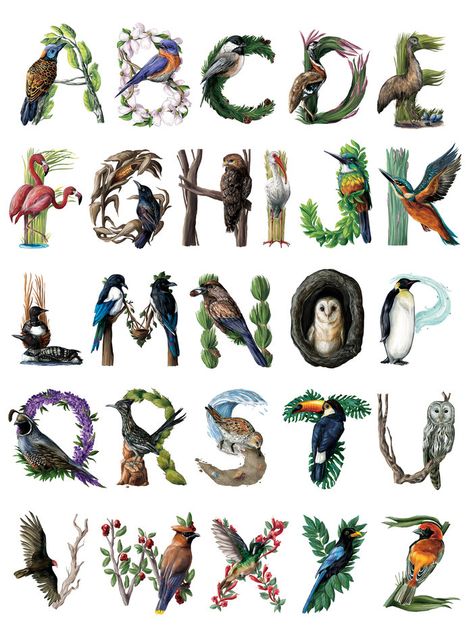 Bird Drop Cap Alphabet, A – Z by Amanda Surveski at Coroflot.com Drop Cap Illustration, Bird Alphabet, Drop Cap Design, Fonts Dafont, Illustrated Alphabet, Fonts Canva, Alphabet Lettering, Unique Lettering, Fonts Handwriting