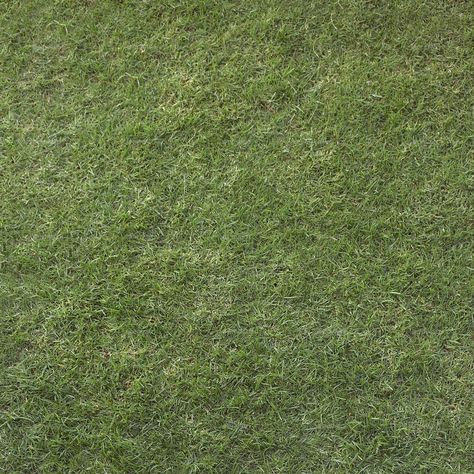 Textures grass #Textures, #grass -  Textures grass #Textures, #grass Grass Texture Seamless Photoshop, Grass For Photoshop, Grass Texture Architecture, Grass Texture Photoshop Architecture, Green Texture Architecture, Grass Texture Photoshop, Greenery Texture, Land Texture, Grass Texture Seamless