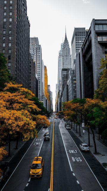 Scene Reference, Usa Video, Spooky Halloween Pictures, Fall In Nyc, Incredible Photos, Nice Photos, Nyc Aesthetic, Nyc Life, Light Academia