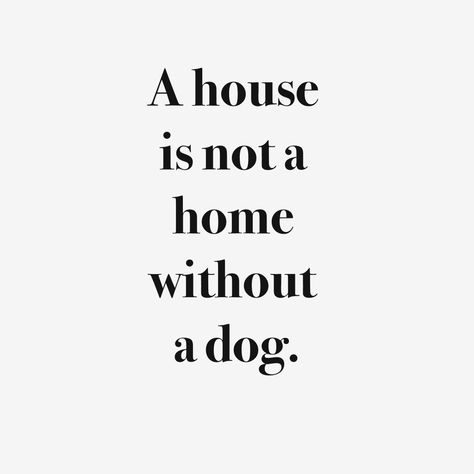 A house is not a Home without a Dog Dog Quote, 20th Quote, Bohol, Best Friend Quotes, Animal Quotes, Dog Quotes, Love Your Life, A Quote, Mans Best Friend