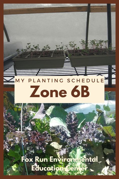 Planting Schedule For Zone 6b, Seed Starting Schedule Zone 6, Growing Calendar Zone 6b, 6b Planting Zone, Zone 6 Planting Schedule Vegetables, Growing Calendar Zone 6, 6b Planting Calendar, Winter Sowing Vegetables Zone 6, How Much To Plant Per Person For A Year