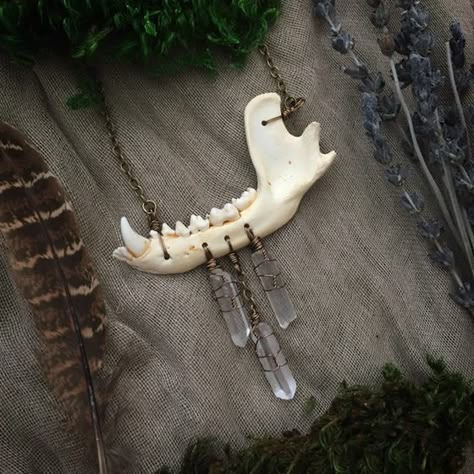 Mossy Elf (online store for neat things, handmade and such. a good source for expanding your collection of oddities)~ Animal Bone Art, Animal Bone Jewelry, Animal Skull Decor, Oddities Decor, Elf Jewelry, Skull Crafts, Antler Art, Taxidermy Art, Chainmail Jewelry