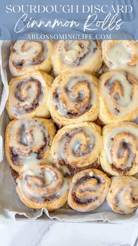 Easy Sour Dough Discard Breakfast, Cinnamon Rolls Using Sourdough Starter, Discard Sour Dough Cinnamon Rolls, Little Spoon Farm Sourdough Cinnamon Rolls, Ben Starr Sourdough Cinnamon Rolls, Simple Sourdough Cinnamon Rolls, Gf Sourdough Cinnamon Rolls, Sour Dough Cinnamon Roll, What To Do With My Sourdough Starter