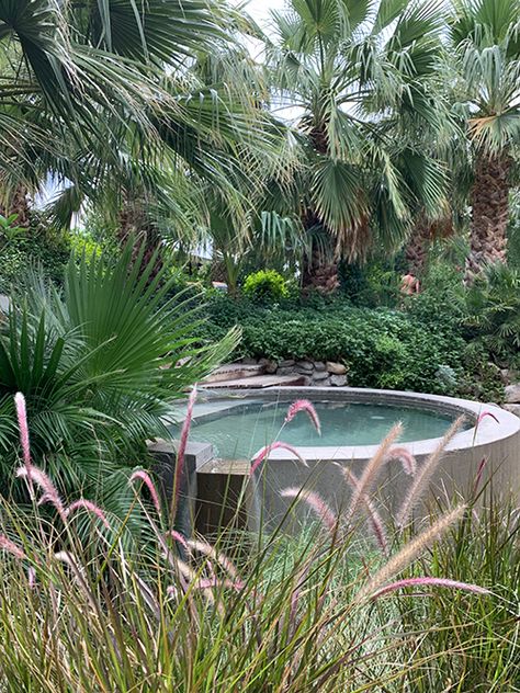 Spa Diary: Two Bunch Palms Palm Springs Spa, Palm Springs Resorts, Day Spas, Desert Resort, Mud Bath, Desert Hot Springs, Best Spa, Yard Design, The Spa