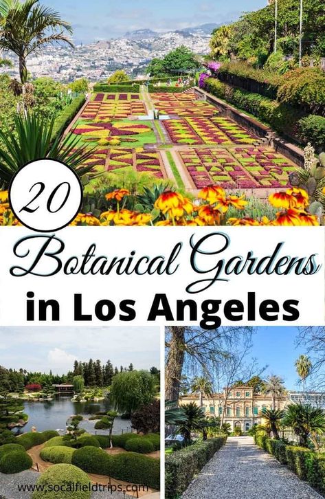 One of the great joys of visiting Los Angeles is that there is access to an exorbitant amount of entertainment and activities, especially in the context of art and culture. But we are also extremely fortunate that LA boasts an impressive array of gardens and green spaces for locals and visitors to explore. Below is a list some of the best Botanical Gardens near Los Angeles, along with a few lessor known spots that are definitely worth checking out. #travel #california #la #garden #gardening Los Angeles Garden, Los Angeles Arboretum, Bellagio Botanical Gardens, Botanical Gardens California, California Garden Design, Garden Grove California, St Louis Botanical Garden, California Landscaping, San Diego Botanic Garden