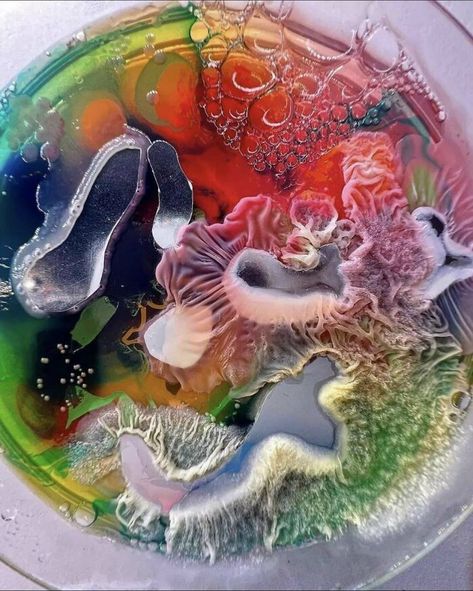 Petri Dish Aesthetic, Bacteria Art, Petri Dish Art, Silicone Art, Mold Art, Growth And Decay, Petri Dishes, Decorative Gourds, Bio Art