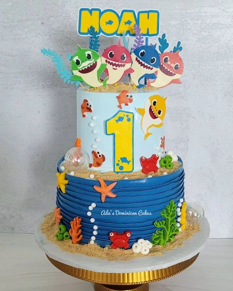 Baby shark cake🐟🐟🐟 . . . . .#babysharckcake .#babysharck .#dominicancake #bizcochodominicano🎂🇩🇴 .#suspirodominicano Baby Shark Cake Boy, Birthday Cake 1 Year, Cake 1 Year, Baby Shark Birthday Cake, Shark Cakes, Shark Birthday Cake, Baby Shark Cake, Shark Birthday Cakes, Baby Shark Birthday