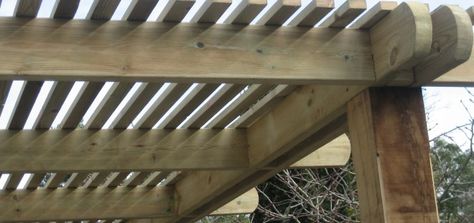 Slatted Roof Pergola, Pergola With Slats, Pergola Roof, Zinnia Garden, Timber Pergola, Narrow Garden, The Satellite, Replacement Canopy, Pergola With Roof