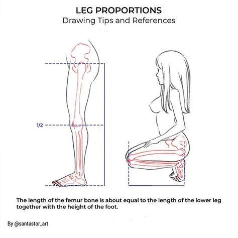 Leg Proportions, Proportions Drawing, Leg Reference, Animation Sketches, Body Reference Drawing, Free Brush, Mini Drawings, Animated Drawings, Art Instructions