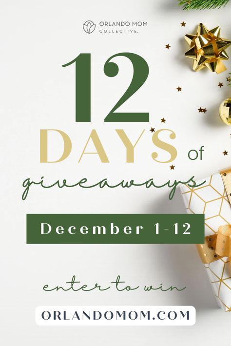 We love the Holiday Season, which is why we are bringing back our 12 Days of Giveaways! The 12 Days of Giveaways is a giveaway event that is on both Facebook and Instagram. The more you participate on each platform, the more chances you have of winning! 12 Days Of Christmas Giveaway Ideas, Christmas Giveaway Ideas, Christmas Marketing, Christmas Promo, Christmas Advertising, Christmas Workout, Holiday Giveaway, Christmas Stock Photos, Christmas Giveaway