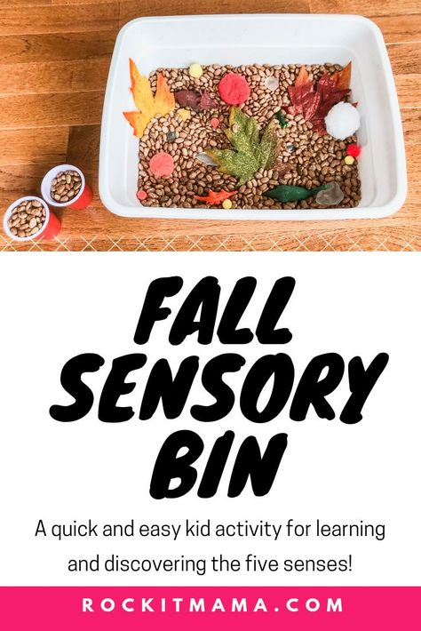 Fall Sensory Bin - A Quick and Easy Kid Activity | Rock It Mama | Make this fall sensory bin just in time for the season! This cheap and fun activity is great for learning and discovering the senses Fall Sensory Bin, Fall Sensory, Toddler Sensory Bins, Learning Crafts, Easy Kid Activities, Toddler Sensory, Diy Toddler, Easy Cheap, Sensory Bin