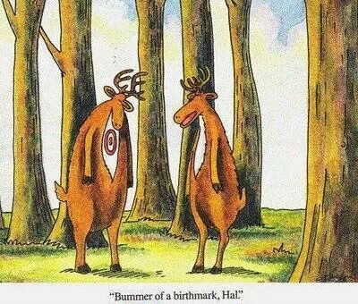 Bullseye for birthmark Hunting Jokes, Funny Christmas Cartoons, Gary Larson Far Side, Far Side Cartoons, Hunting Quotes, Far Side Comics, Gary Larson, Deer Season, Clip Board