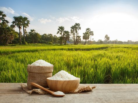 Paddy Field Photography, Rice Field Photography, Paddy Field, Rice Paddy, Rice Mill, Photoshop Poster, Plant Table, Key Visual, Floral Border Design