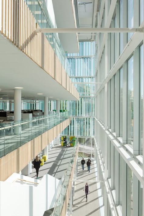 The Greenest City Hall in Sweden / Christensen & Co Architects | ArchDaily Green Profile, City Hall Architecture, Rooftop Restaurant Design, Virtual City, Atrium Design, Building Development, Lobby Interior Design, University Architecture, Facade Architecture Design