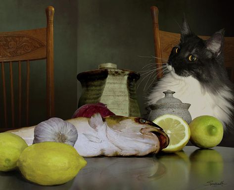 Cat Digital Art - Chef Oliver by M Spadecaller Vegetables Pictures, Fruits And Vegetables Pictures, Easy Clay Sculptures, Life With Cats, Vegetable Pictures, Cat Digital, Female Armor, Still Life Fruit, Academic Art