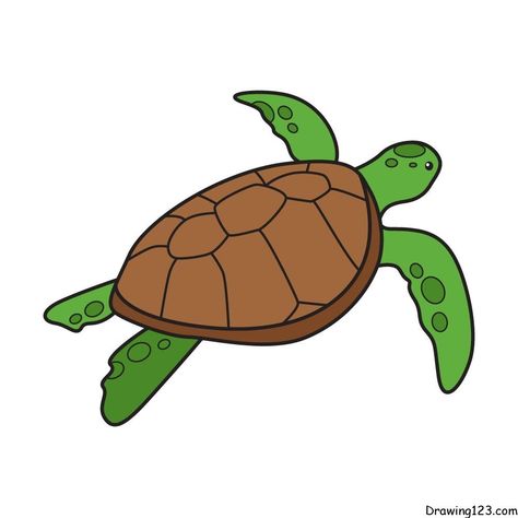 Turtle Drawing Tutorial - How to draw Turtle step by step Easy Turtle Drawing, Cute Turtle Drawings, Sea Turtle Drawing, Drawing Legs, Space Coloring Pages, Cartoon Turtle, Turtle Drawing, Water Drawing, Creature Drawings